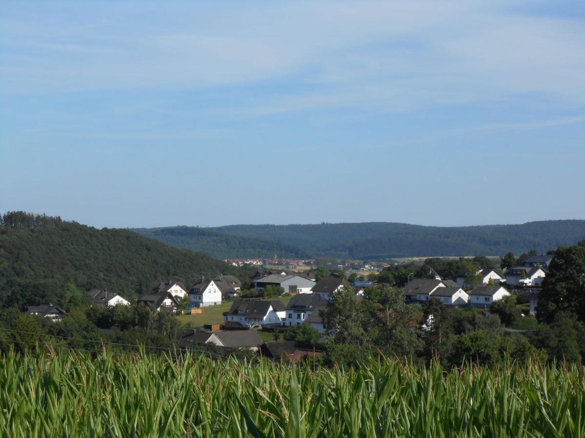 Modern Holiday Home Idyllic Setting With Terrace 메데바흐 외부 사진